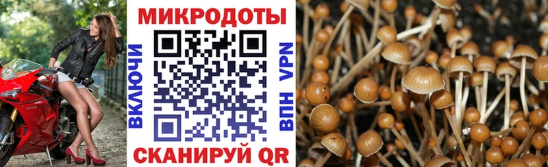 Галлюциногенные грибы ЛСД  где продают   Борисоглебск 